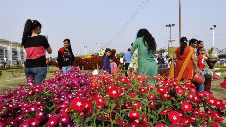 Image result for Jaipur flower festival