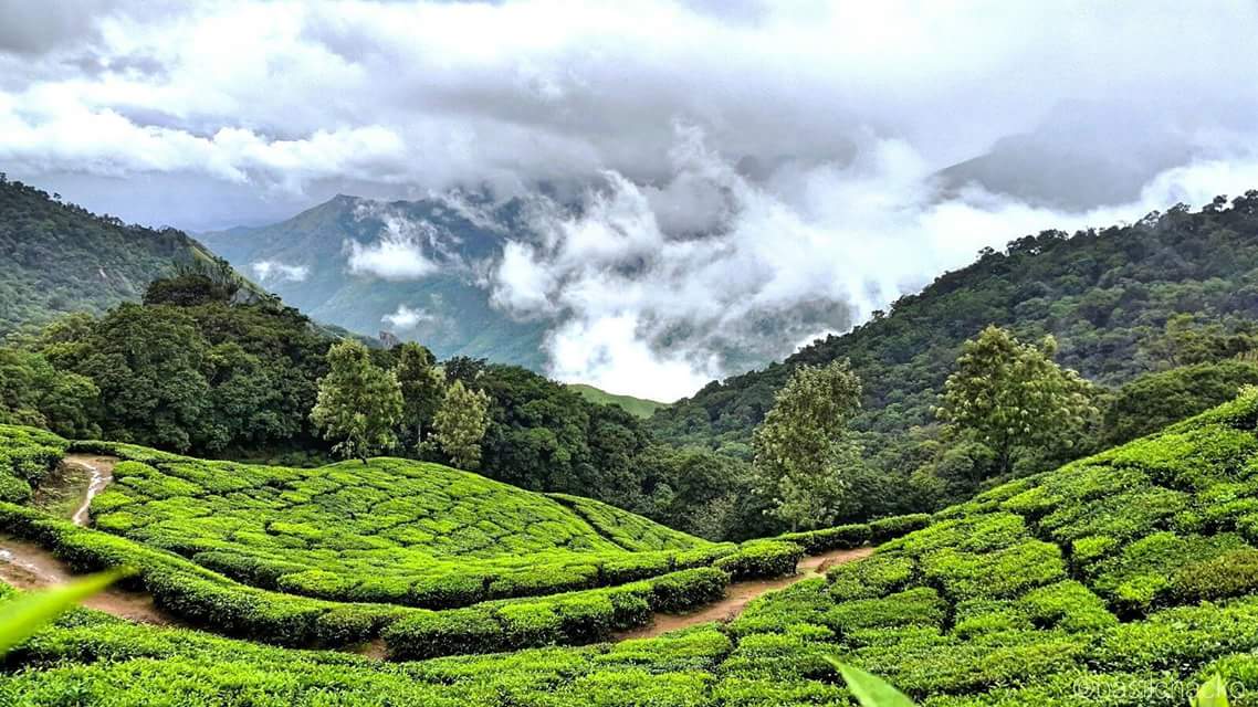 Munnar