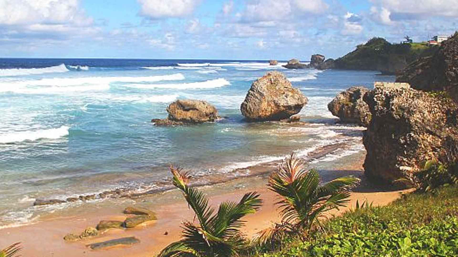 Bathsheba-Beach