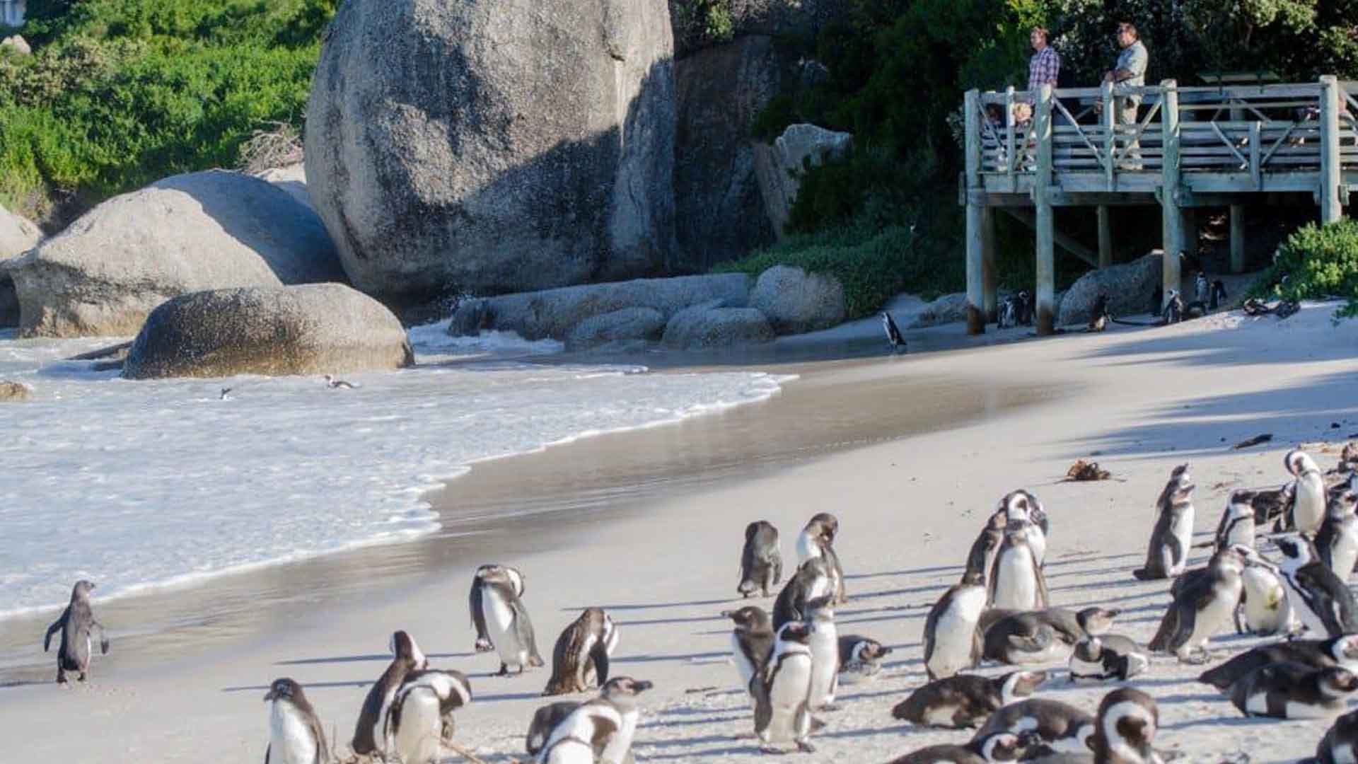 Boulders-Beach