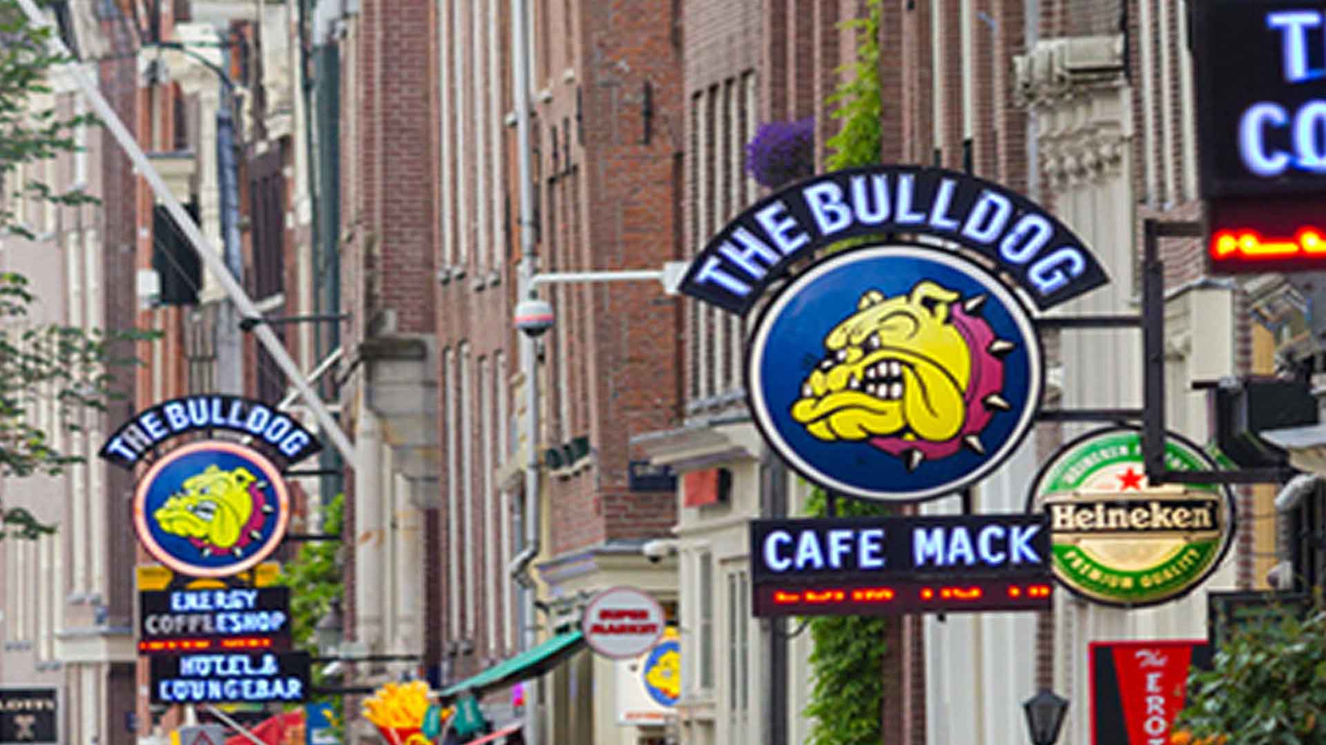 The-Bulldog-Amsterdam