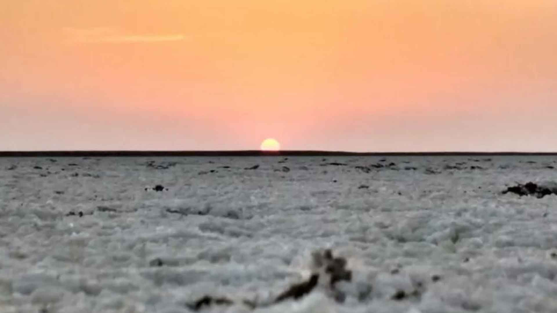 White-Rann