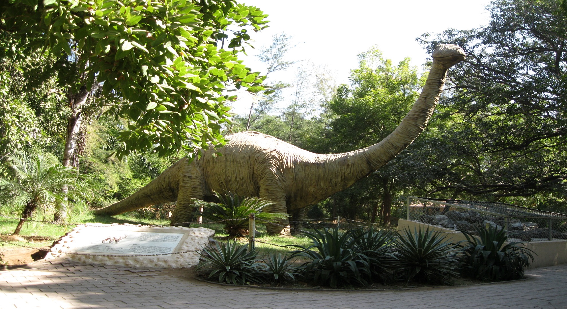 Dinosaur_and_Fossil_Park