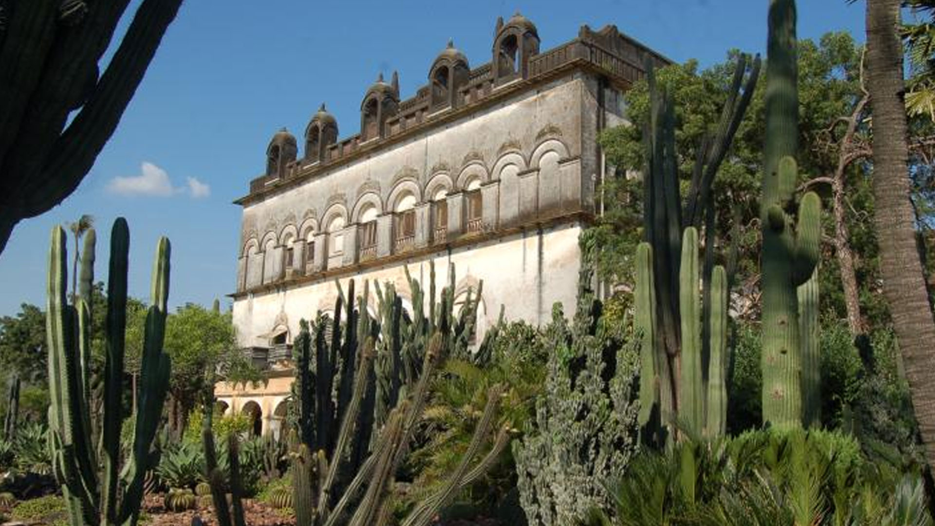 cactus-garden-2