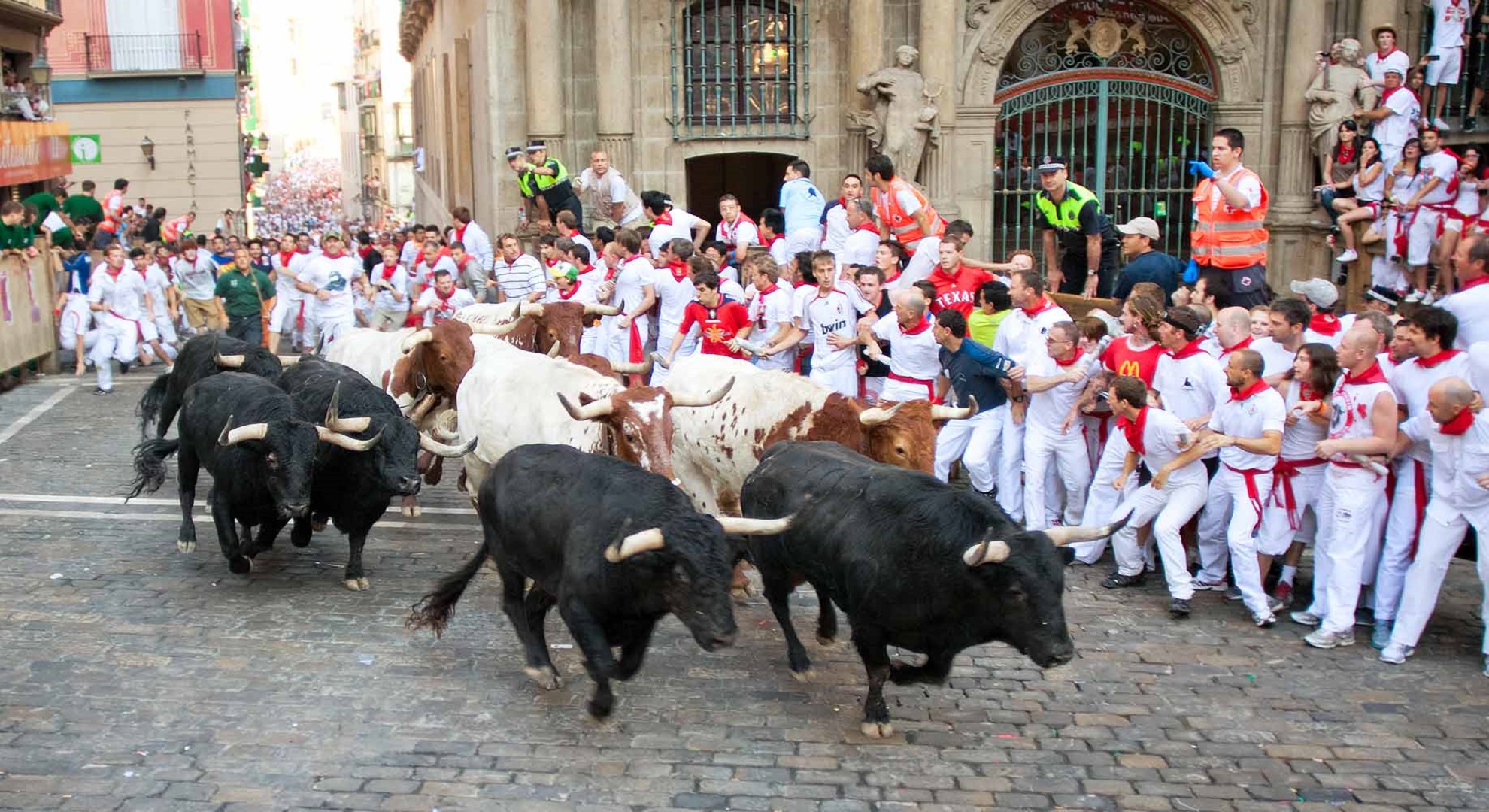 Running bulls