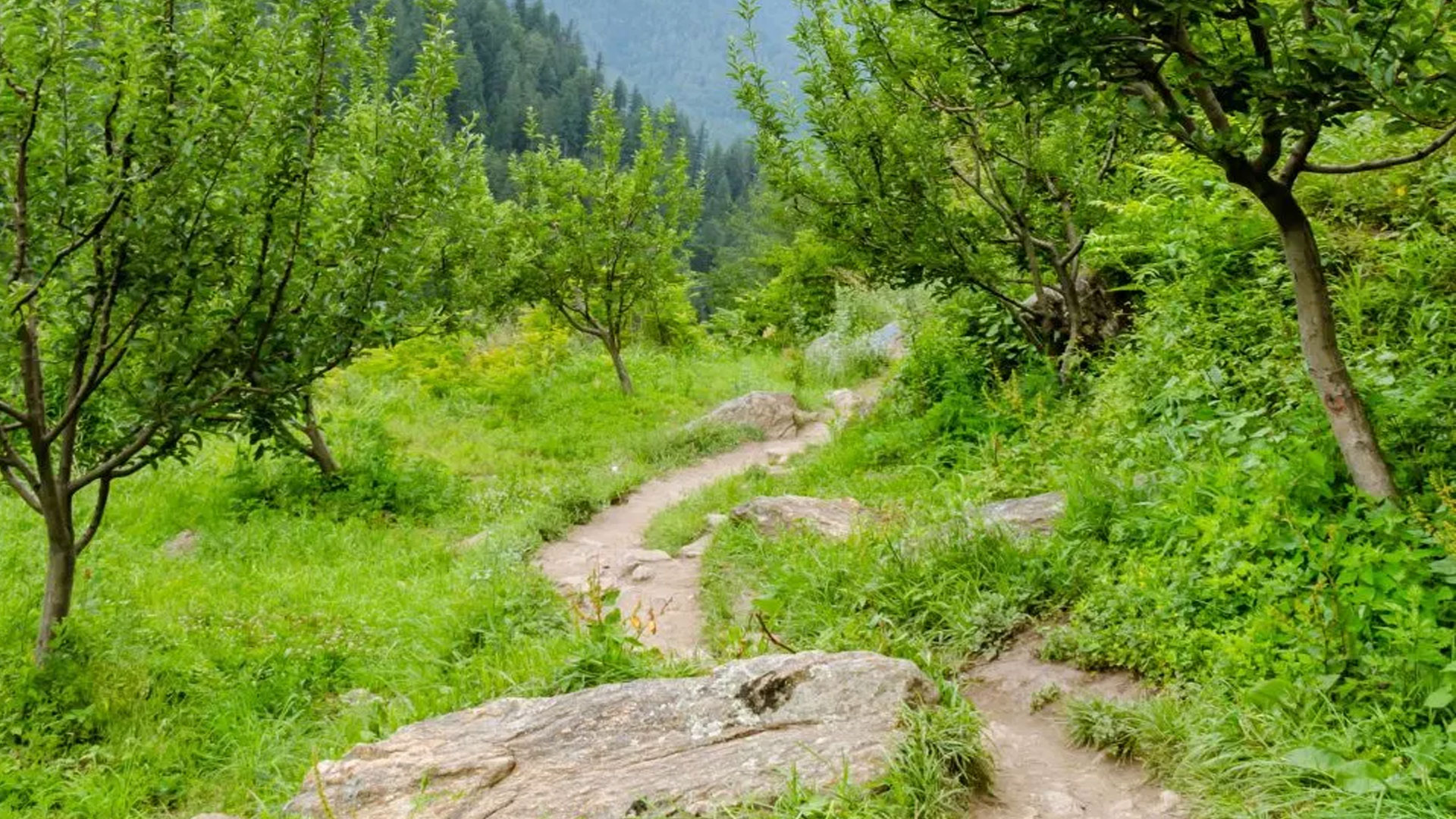 Kheerganga