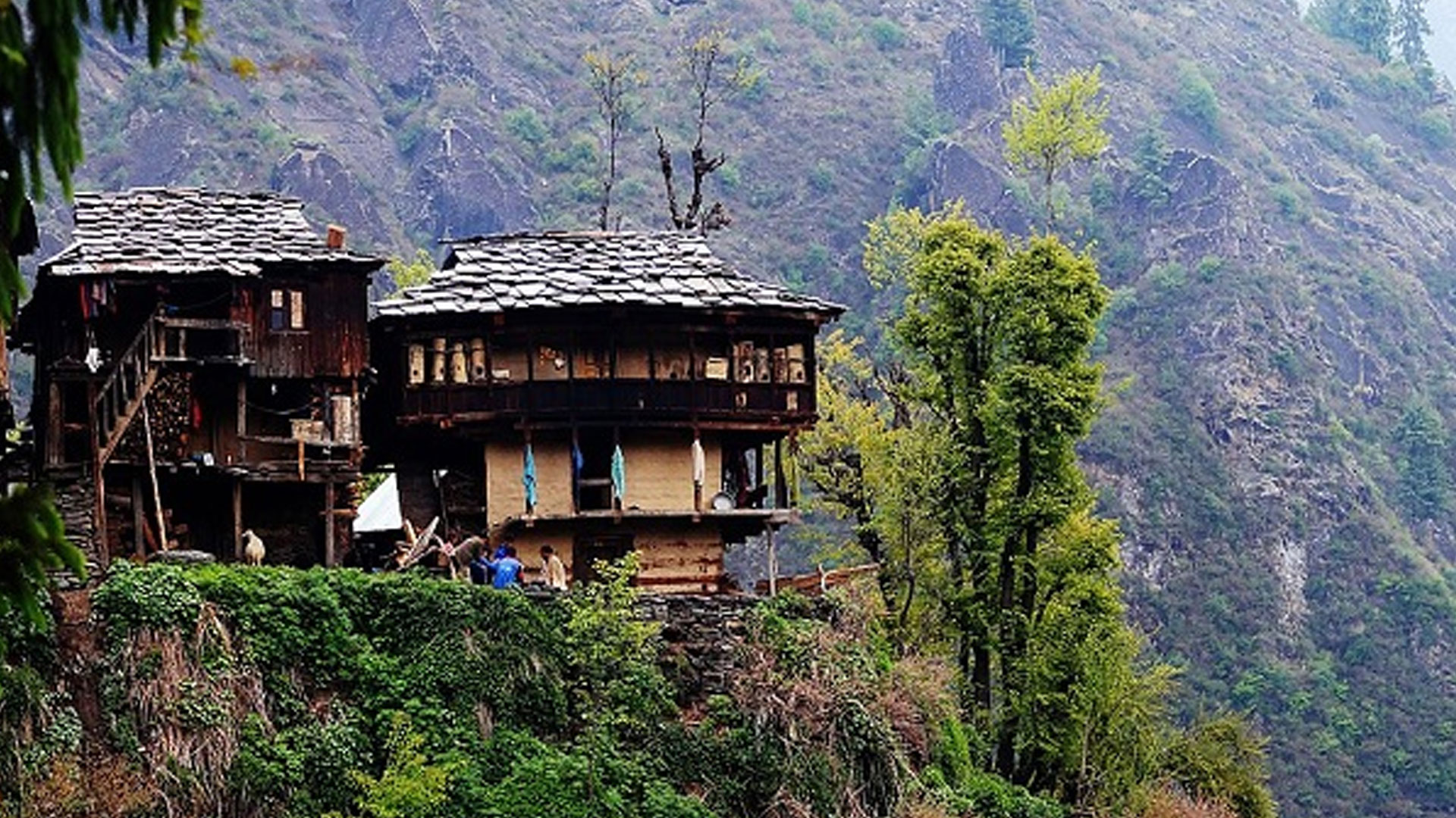 Malana