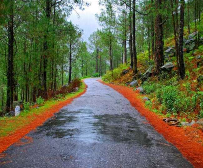 Ranikhet_uttrakhand