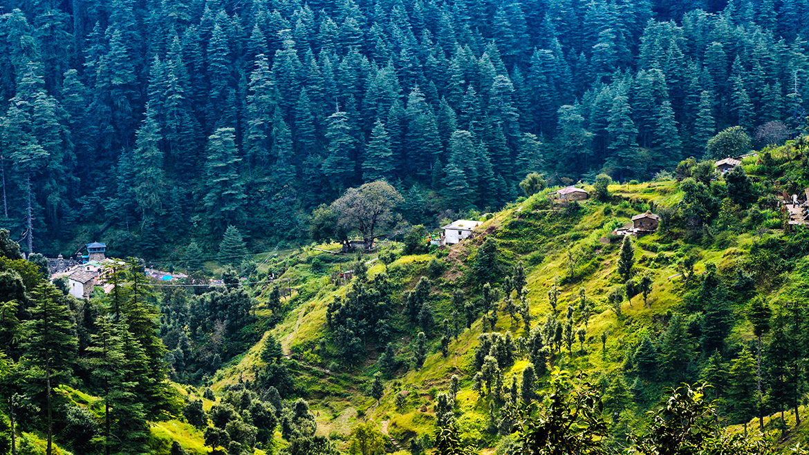 ranikhet-tourism