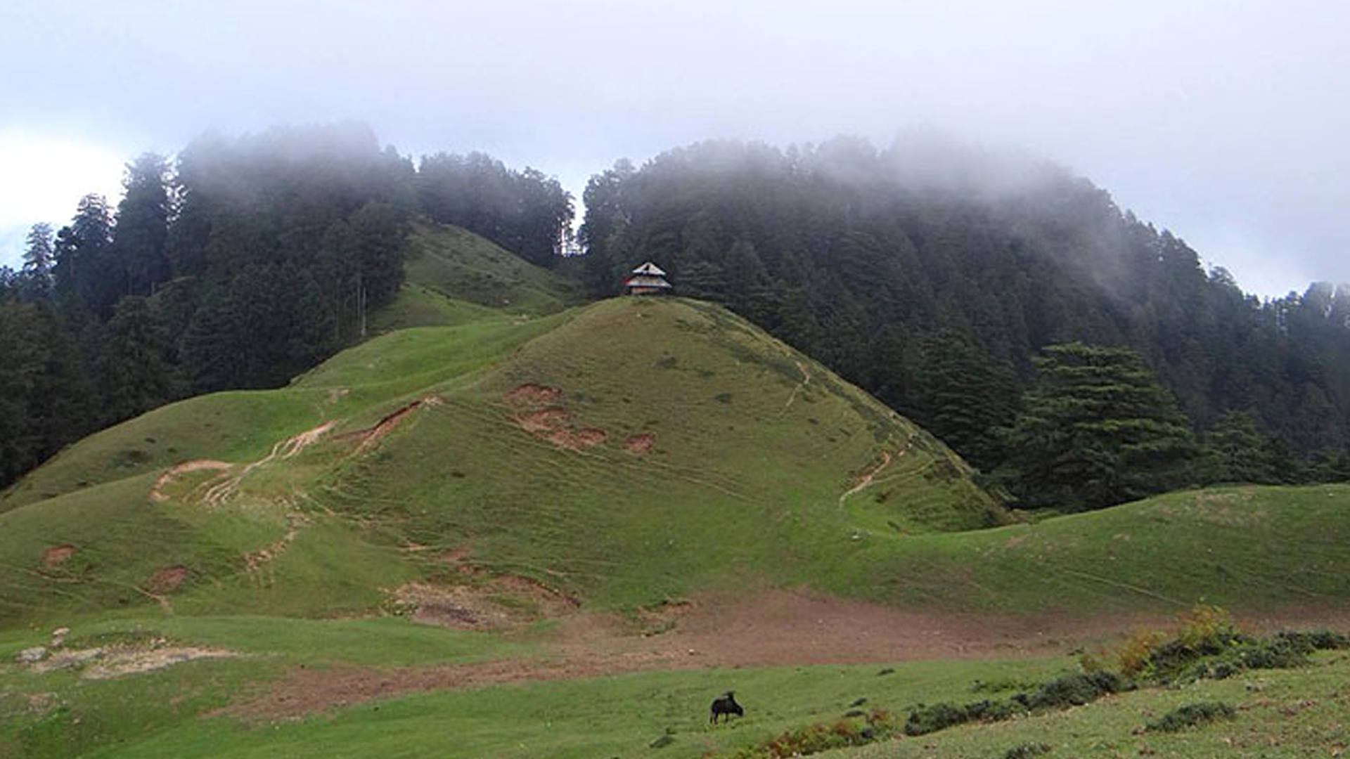 Chakrata