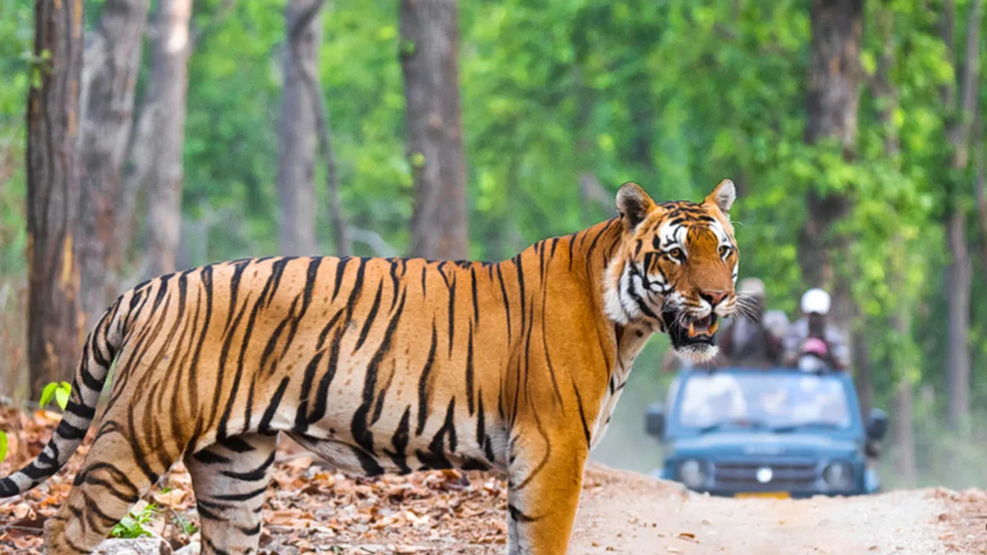 Jim Corbett Park