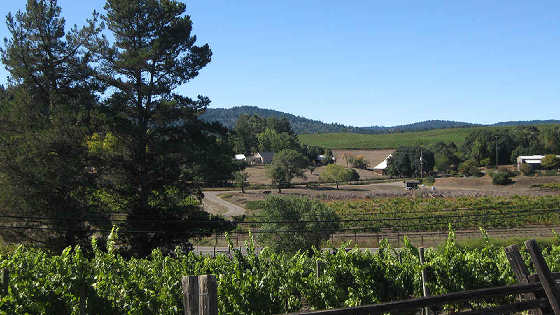 Mendocino Wine Country