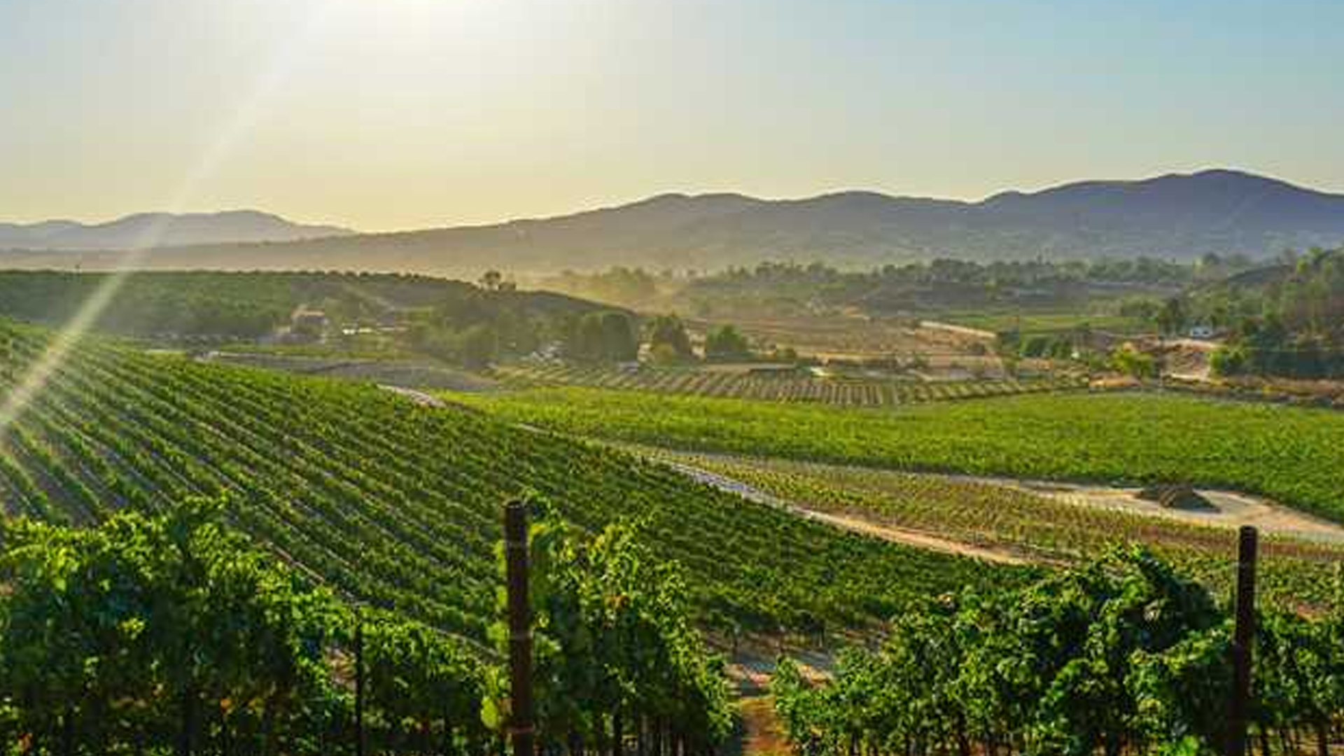 Temecula Valley Wine Country.