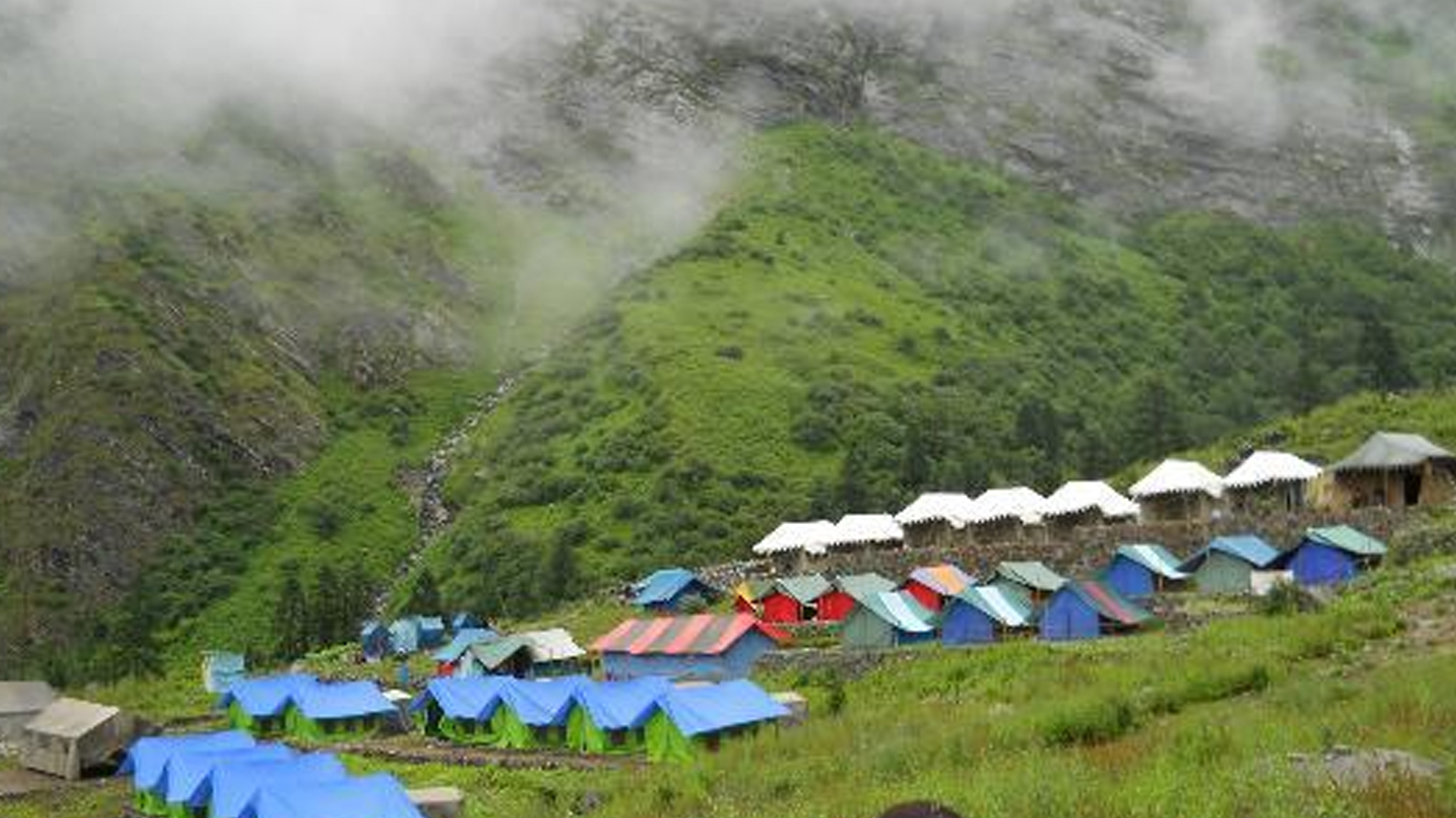 Valley of Flowers