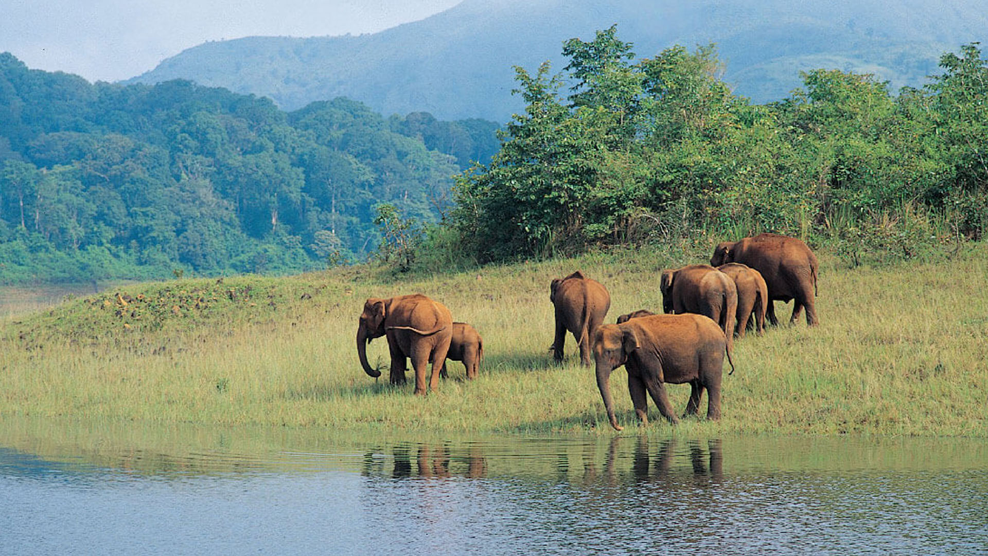 periyar national park